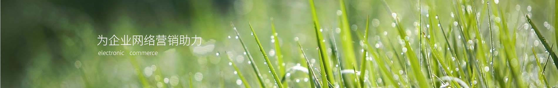 Ĵƶ¡޹˾